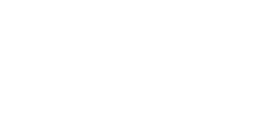 The Joint Logo 300x152